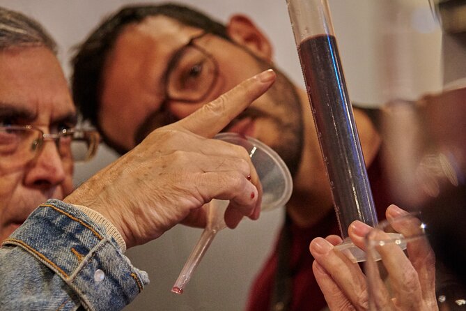 Craft Your Own Wine in Chile's Vineyards - Wine Making Experience at MontGras
