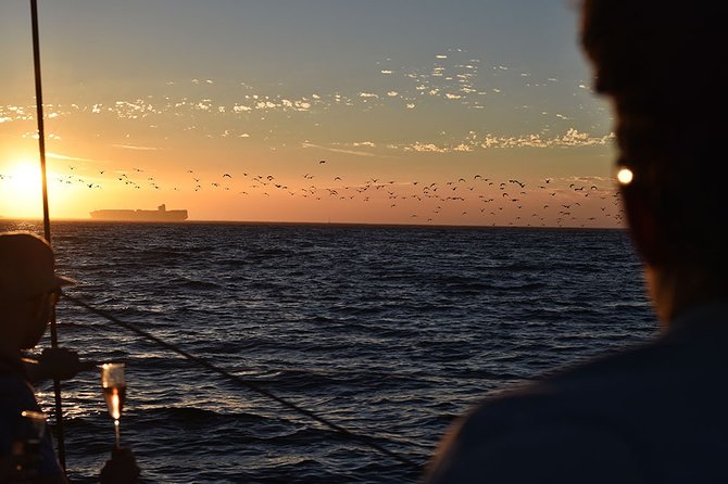 Cruise and Dine Dinner / Cape Town: Sunset Champagne Cruise and 3-Course Dinner - Overview and Inclusions