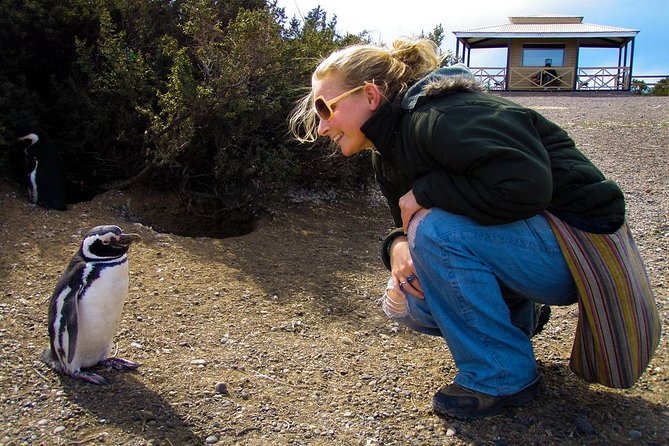 Cruise Shore Excursion Punta Tombo - Tickets Included - Puerto Madryn Patagonia - Excursion Highlights