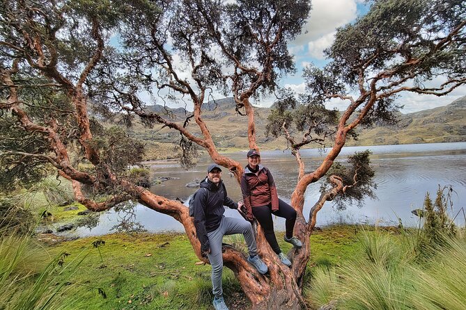 Cuenca to Guayaquil One-Way Tour With Cajas Park and a Cacao Farm Visit - Tour Highlights