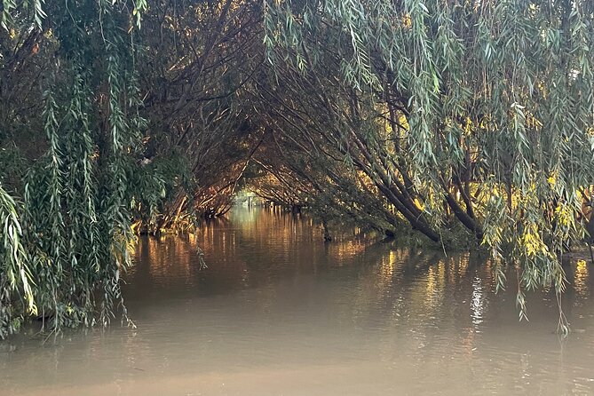 Customized Tigre Delta Tour Lunch and Drink Included - Lunch Options