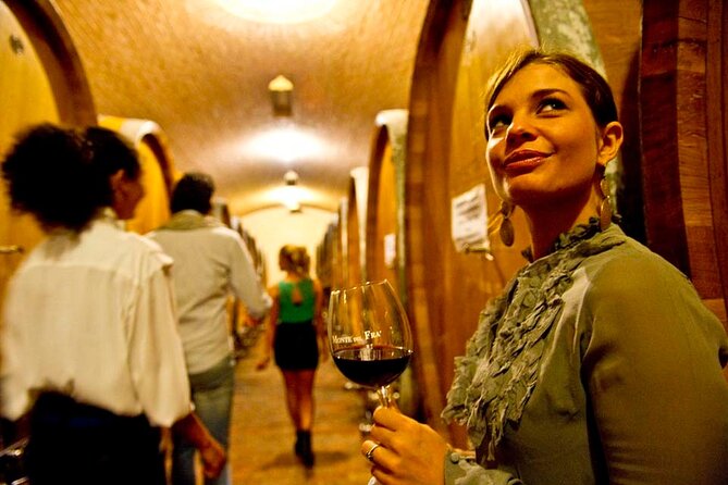Custoza Doc 2 Hours Wine Tasting With Lunch at the Winery - Wine Tasting Experience Overview