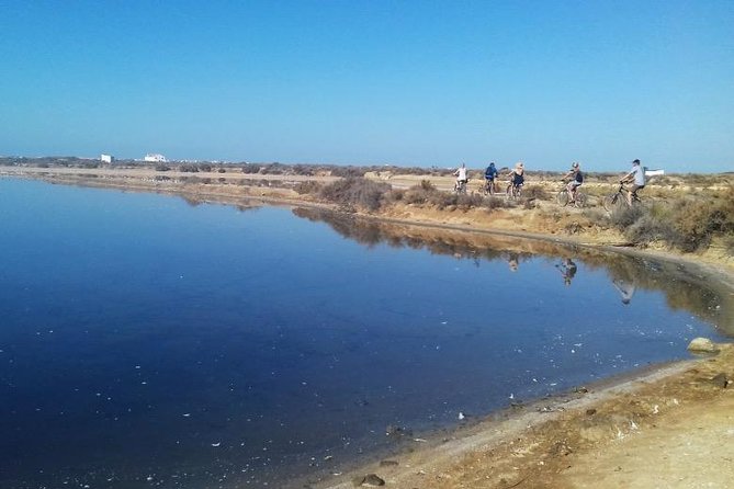 Cycling the Algarves Ria Formosa From Faro - Tour Overview