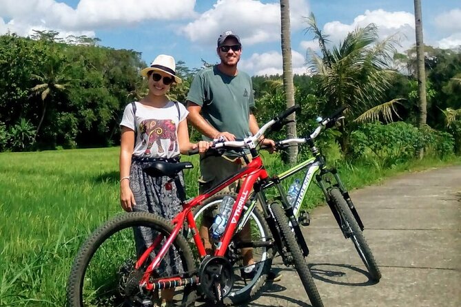 Cycling Tour in Yogyakarta With Lunch 3-Hour - Itinerary Highlights
