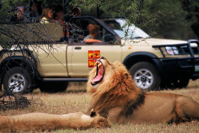 Daily Pilanesberg National Park Private Shuttle Services - Pricing and Booking Details