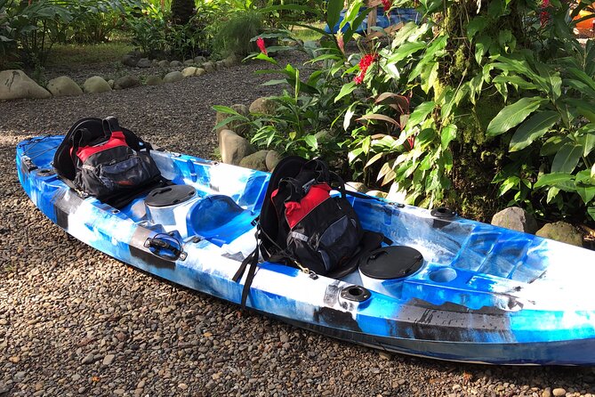 Damas Island Half-Day Kayak Tour by Nacarcosta  - Quepos - Damas Island Estuary and Wildlife