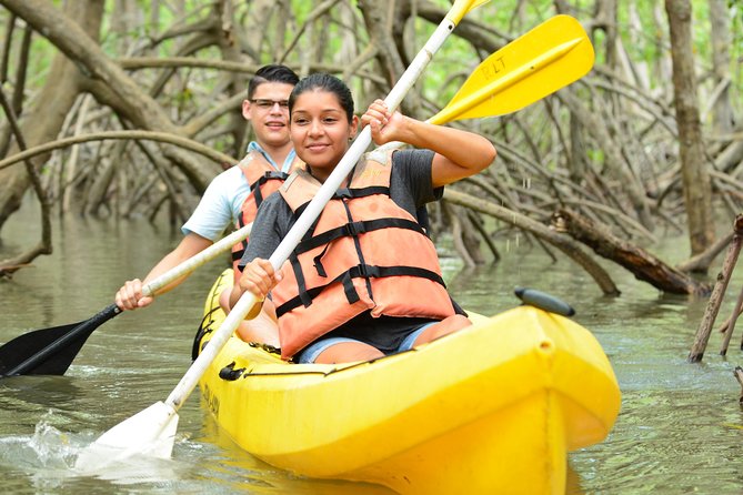 Damas Island Mangrove Kayaking Tour From Manuel Antonio - Tour Overview