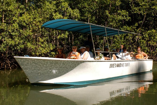 Damas Mangrove Boat Tour - Tour Overview and Details
