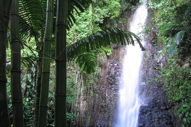 Dark View Falls Tour and Beach - Experience the Beauty of Dark View Falls