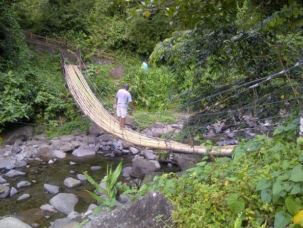 Dark View Falls Tour With Trubb Taxi Tours SVG - Pricing and Booking Details