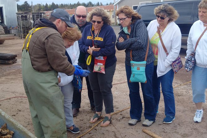 Davids North Shore Tour - Pricing and Booking Information
