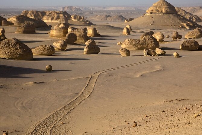 Day Tour in Whales Valley and Wadi El Rayan Water Falls - Tour Highlights
