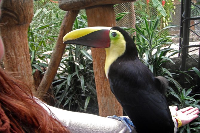 Day Trip From San Jose to Wildlife Refuge La Paz Waterfall Gardens - Overview and Tour Highlights