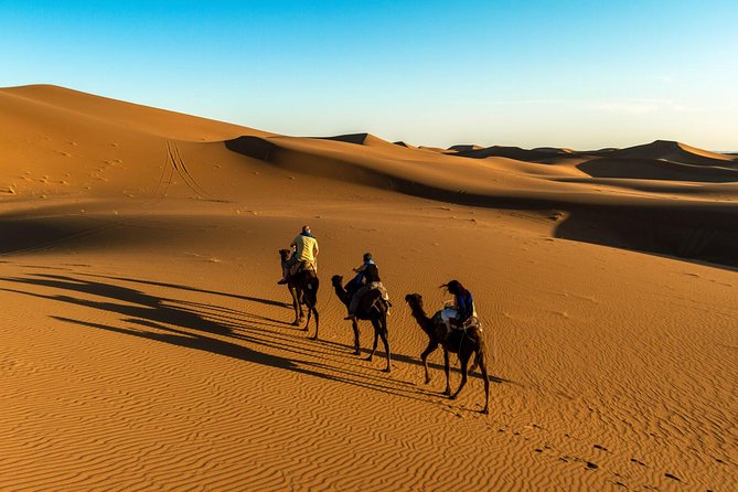 Day Trip to Erg Chigaga Dunes From Zagora - Tour Details