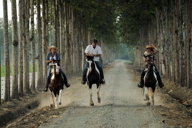 Day Trip to Hacienda La Danesa With Horseback Riding and Lunch - Activities and Experiences
