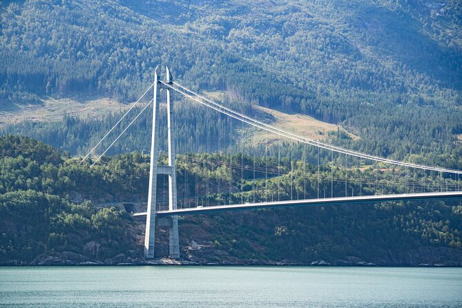 Day Trip to Hardangerfjord With Lunch at a Cider Farm Included - A Scenic Drive to Hardangerfjord