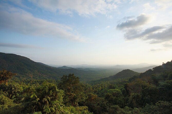 Day Trip to Mollem National Park Including Dudhsagar Falls and Jeep Safari From Goa - Inclusions and Exclusions