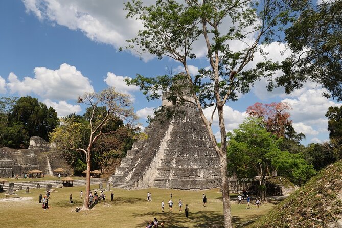 Day Trip to Tikal Maya Ruins Including Lunch - Itinerary Highlights