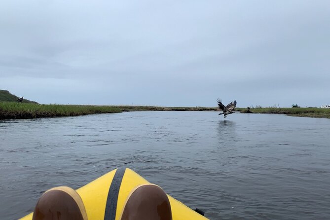 Deep Creek 1/2 Day Packraft Tour - Booking Information