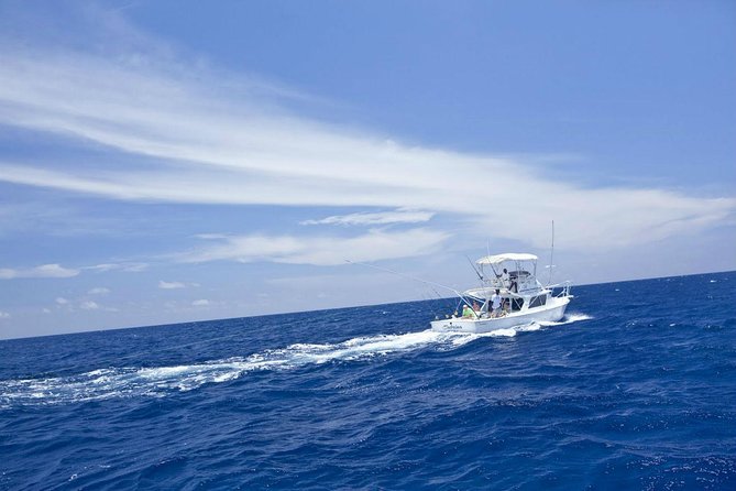 Deep Sea Sport Fishing From Montego Bay - Overview and Experience