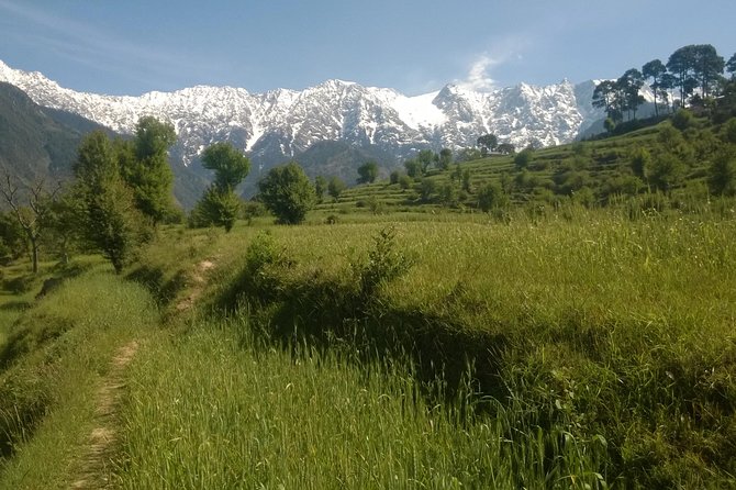 Dharamsala 6-Night Trekking Tour (Feb ) - Tour Highlights