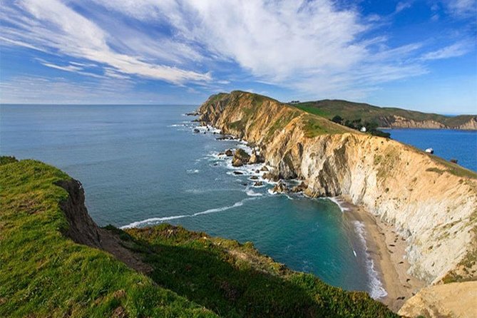Discover Point Reyes National Seashore & Muir Woods Redwoods - Tour Overview