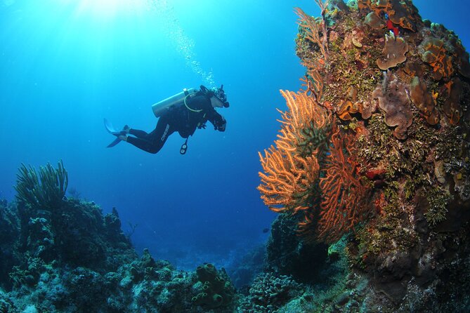 Discover Scuba Diving in Búzios - Activity Highlights