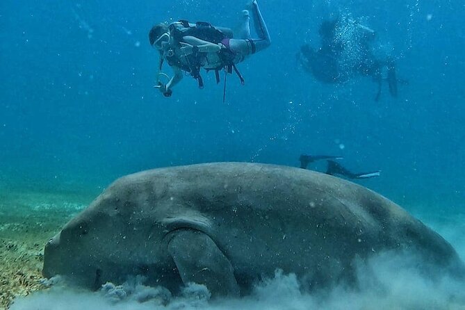 Discover Scuba Diving in Coron - Diving Sites in Coron