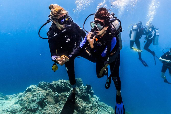Discover Scuba Diving in Pemuteran - Diving Initiation in Bali (Menjangan Park) - Overview of Scuba Diving Initiation