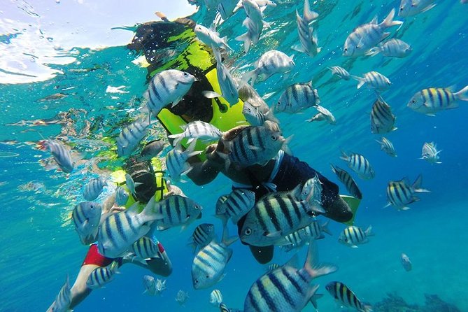 Discover Sosuas Underwater World & Beach Day - Enjoying Sosua Beach