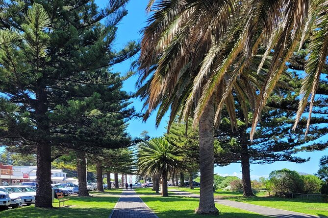 Discover Victor Harbor Walking Tour - Tour Details