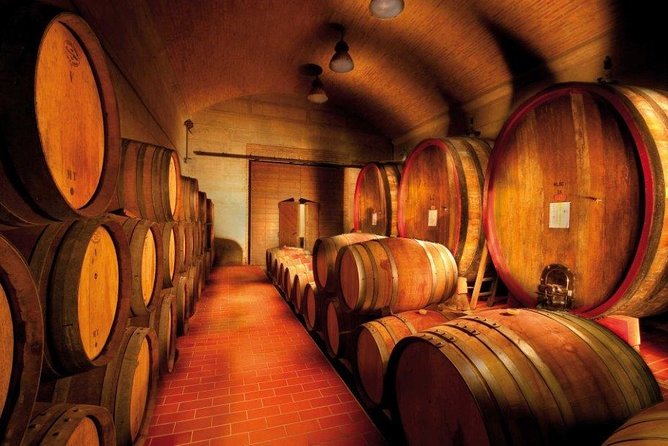 Discovering the Wines of Lake Garda - Lake Garda: A Wine Lovers Paradise