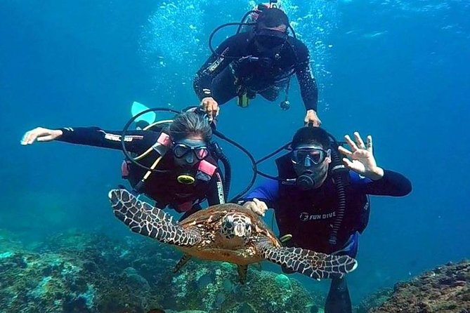 Diving for Beginners and Accredited - Búzios RJ - Overview and Logistics