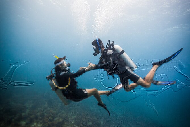  Diving Full Day Boat Trip - Marsa Alam - Itinerary Highlights