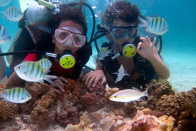 DIVING in PORTO De GALINHAS (With Cylinder) - Why Choose Diving in Porto De Galinhas?