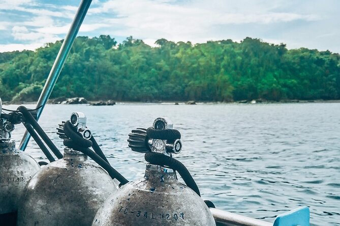 Diving Tour in Isla Del Caño for Certified Divers - Tour Highlights