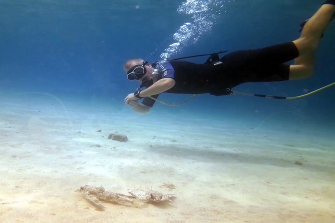 Diving Without Tanks on Your Back! - Activity Overview