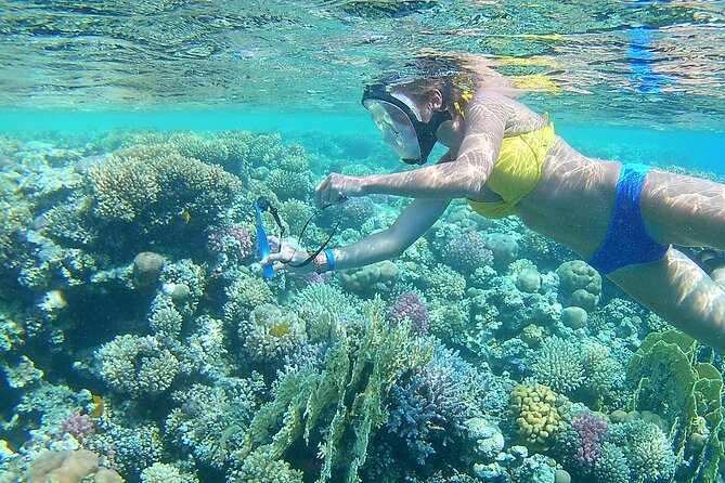 Dolphin House Sea Trip With Water Sport and Lunch in El Gouna - Tour Highlights