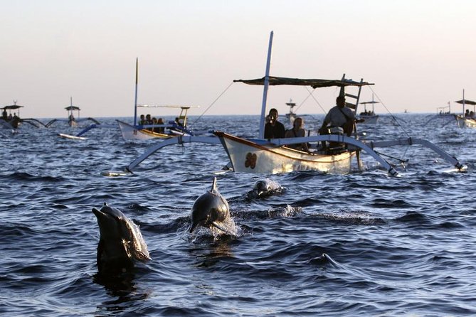Dolphin Tour and Sunrise Watching in Lovina Beach - All Inclusive - Pricing and Booking Information