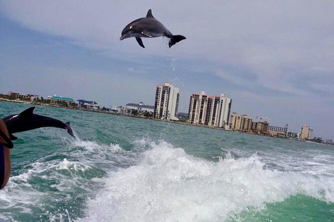 Dolphin Watching Sunset Cruise - Best Time for Dolphin Watching