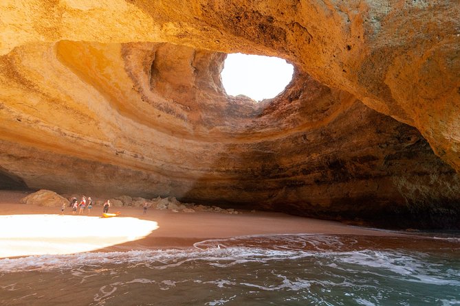 Dolphins and Caves Albufeira Marina Private Tour. - Tour Highlights