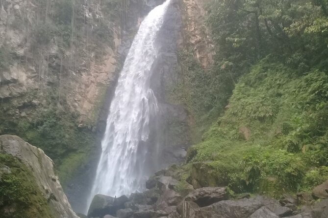 .Dominica Full Day Tour -6 Waterfalls in 1 Day and Rainforest - Tour Highlights