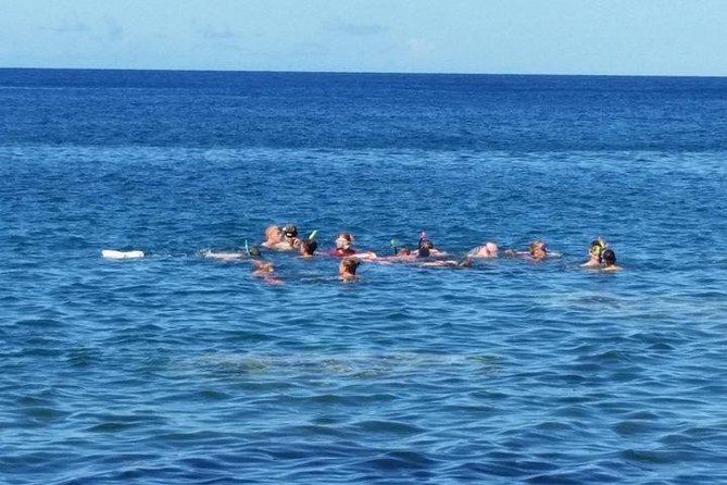 Dominica Small Group Snorkel and Beach Boat Trip With Lunch - Itinerary