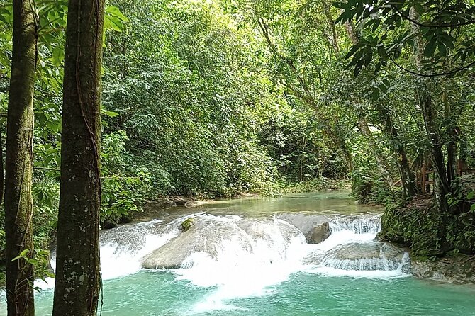 Dominican FLAVOR & COUNTRYSIDE SAFARI Pick-up Included - Tour Highlights