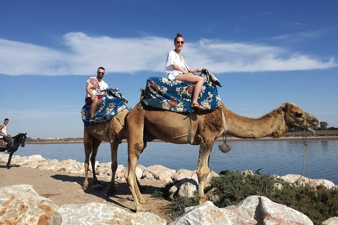 Dromedary Safari: 2 Hours - Selecting Dates and Number of Travelers