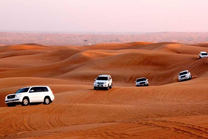 Dubai Afternoon Desert Safari Private(Cultural & Themes Tours ) - Camel Riding Experience