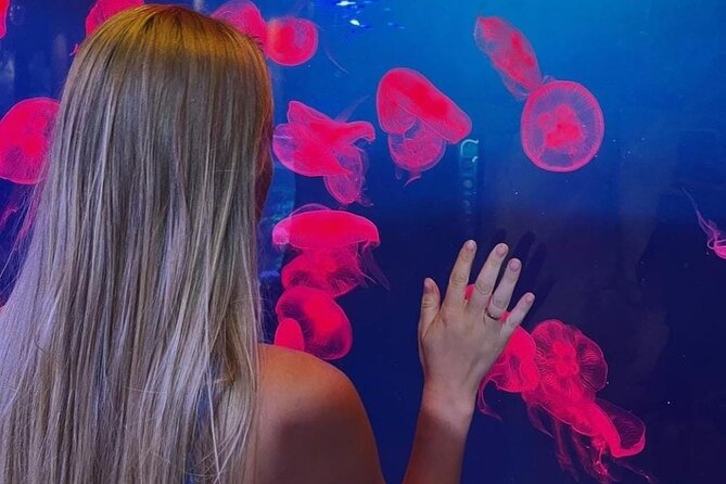 Dubai Aquarium and Underwater Zoo - Pricing and Guarantee