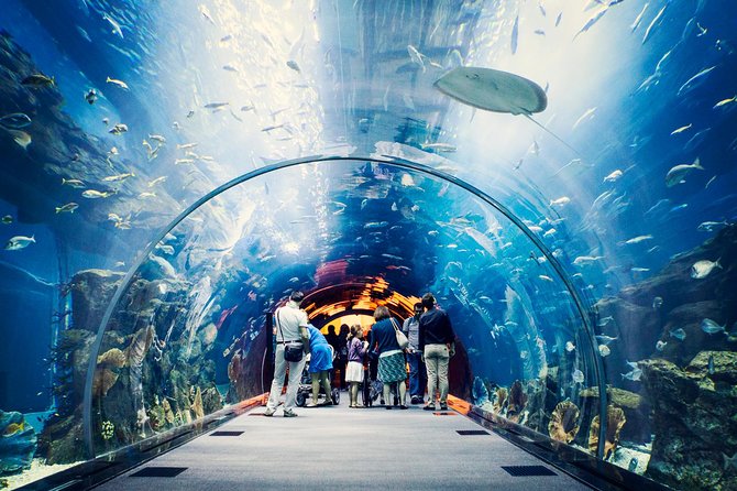 Dubai Mall Aquarium &Underwater Zoo Tickets With Transfer - Ticket and Transfer Information