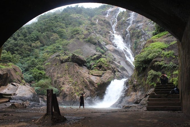 Dudhsagar Falls Overnight Tour From Bengaluru  - Bangalore - Tour Highlights