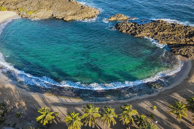 DUHO Bar Hopping (Chinchorreo) Tour From San Juan on Luxury Bus - Tour Highlights